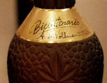 Santa Teresa Bicentenario